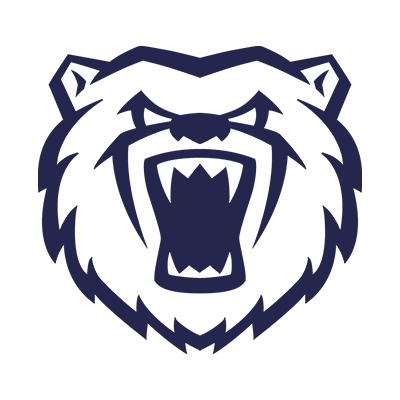 Birmingham Bears Cricket Club